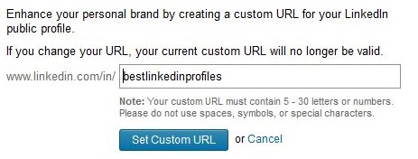 Customizing Your LinkedIn Public Profile URL