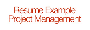 best tech Resume Writing Service for Technology Project Management PMP