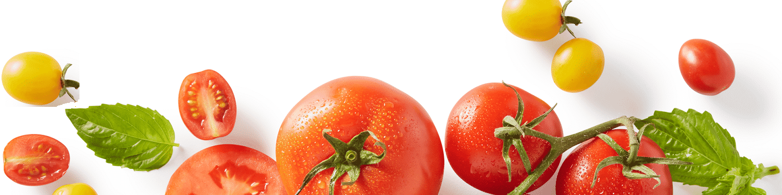 Linkedin Background image Tomato