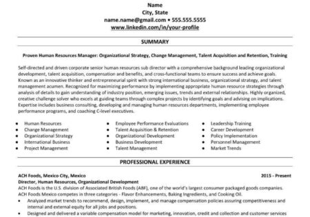Mexico City Professional Resume/CV Example