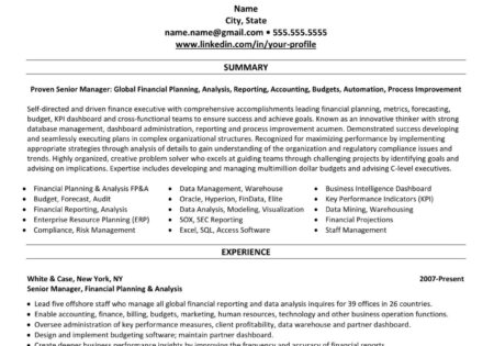 Financial Planning Analysis FP&A Accounting Professional Resume Writing Sample