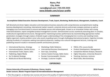 Vienna professional resume/CV example