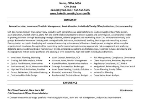 Investment Banking Resume Example