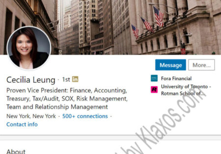 Financial Controller executive LinkedIn Profile Example
