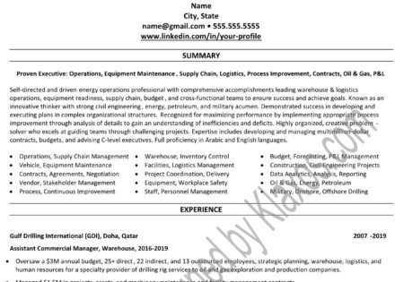 Doha Professional Resume/CV Example