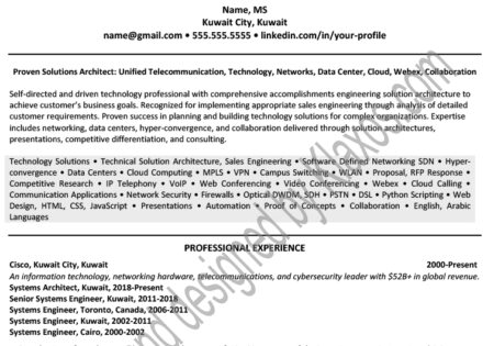 Kuwait City Professional Resume/CV Example