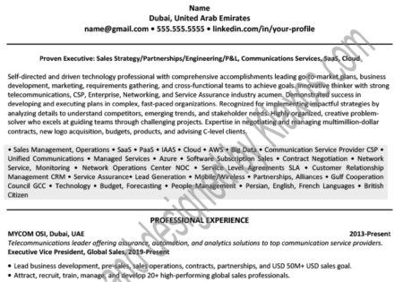 Dubai professional resume/CV example 3415
