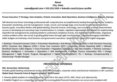 Amsterdam professional resume/CV example