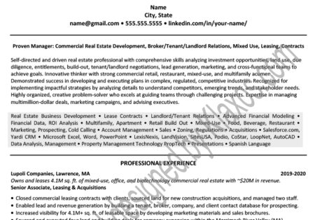 Commercial Real Estate Sales Broker resume example