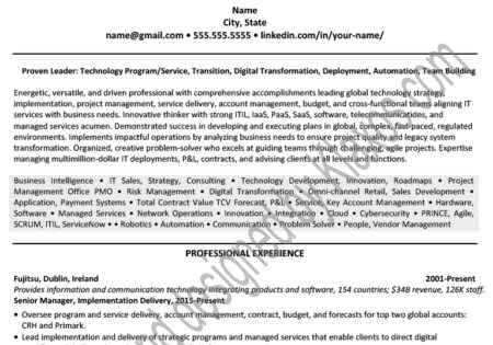 Dublin professional resume/CV example