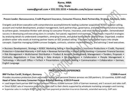 Munich Professional Resume/CV Example