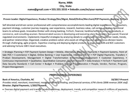 Fintech Digital Payments Professional Resume Writing Sample