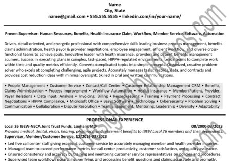 Insurance Claims Processing resume example